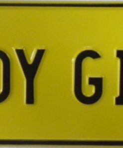 BUNDY GIRLZ Novelty Number Plate