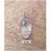 Natural Clear Quartz Stone A