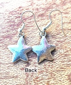Chic Star Earrings Back