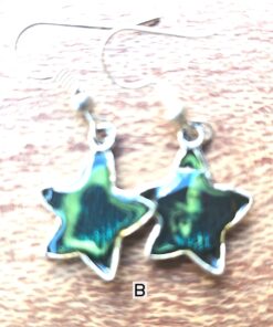 Chic Star Earrings B