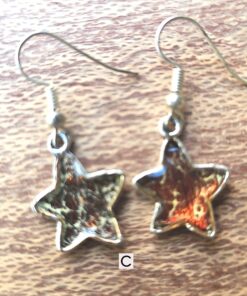 Chic Star Earrings C
