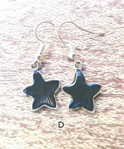 Chic Star Earrings D