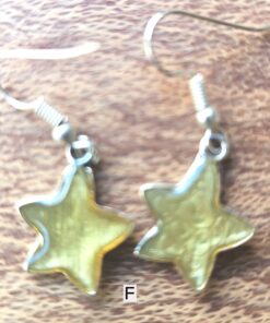 Chic Star Earrings F